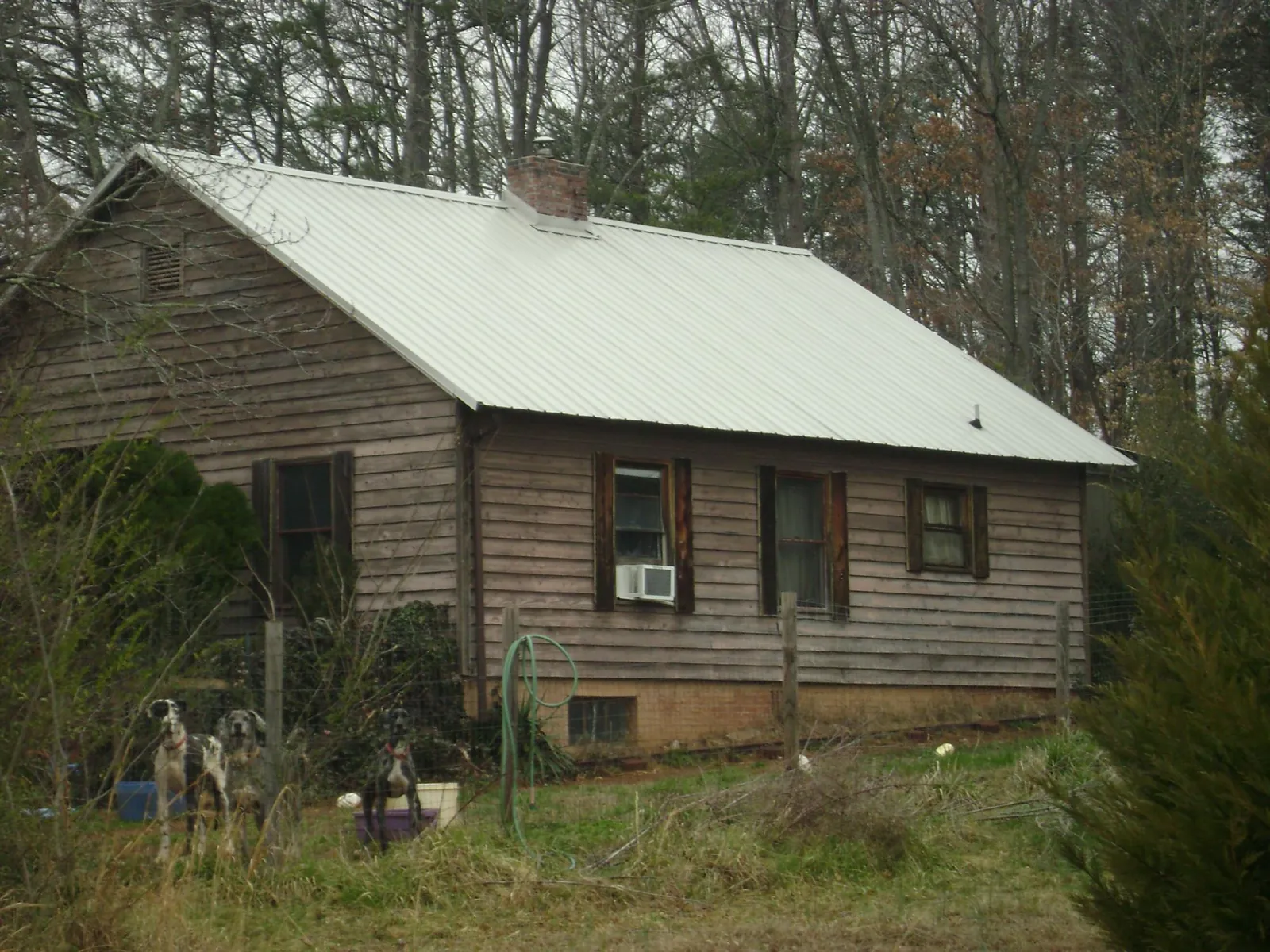 White metal roof on an old wood sided farmhouse, from a Asphalt Shingle Roof Repair job in Whitt